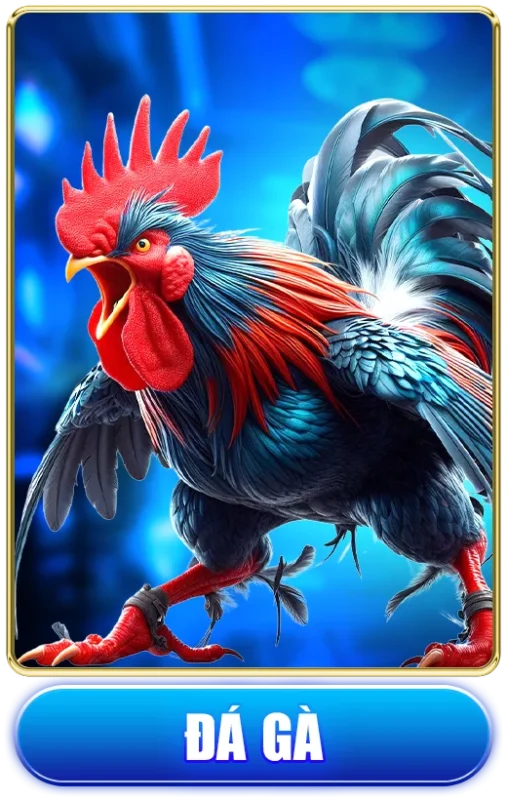 game đá gà FLY88